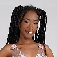Mini Stallion